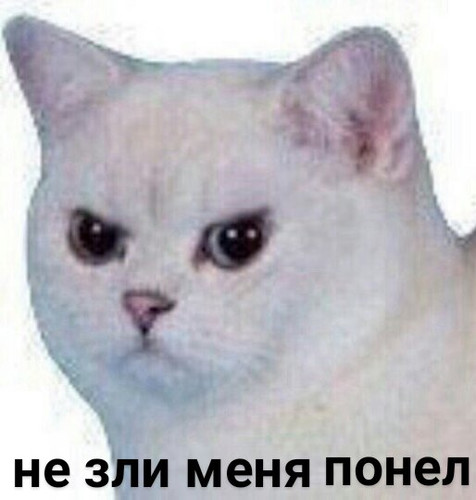 1661250603641.webp