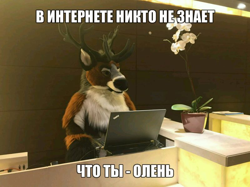 1661272513793.webp