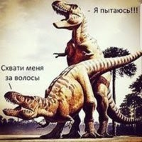 1661283008403.webp