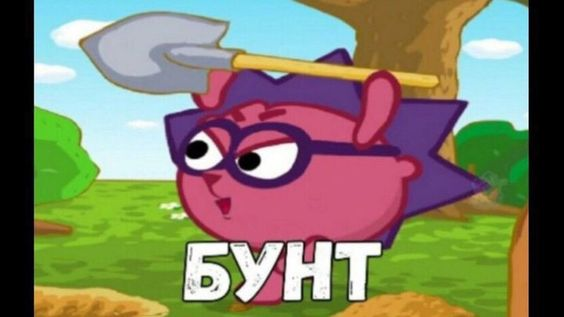 1661345109379.webp