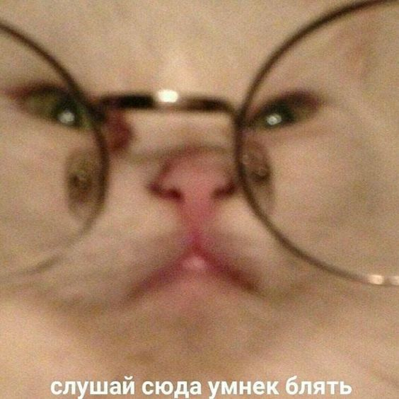 1661364276309.webp