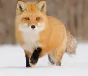 1661368370573.webp