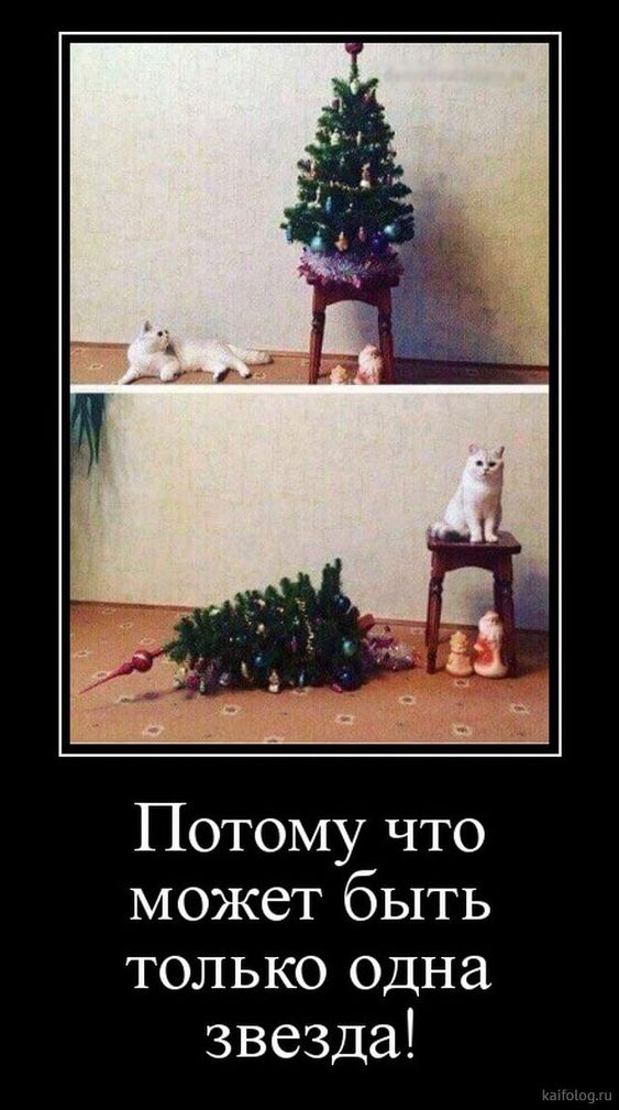 1661371946134.webp