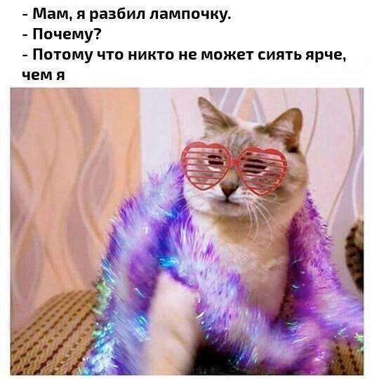 1661372210572.webp
