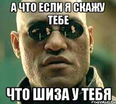 1661521277852.webp