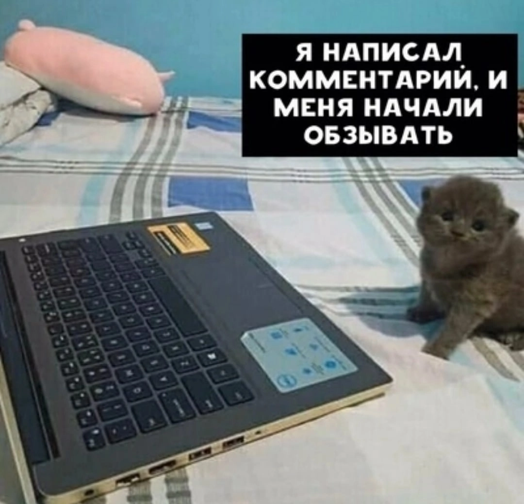 1661531507849.webp