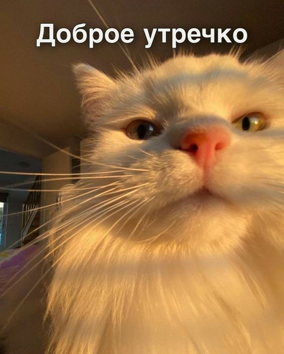 1661571775660.webp
