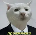 1661607506600.webp