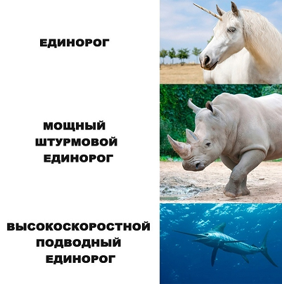 1661772840922.webp