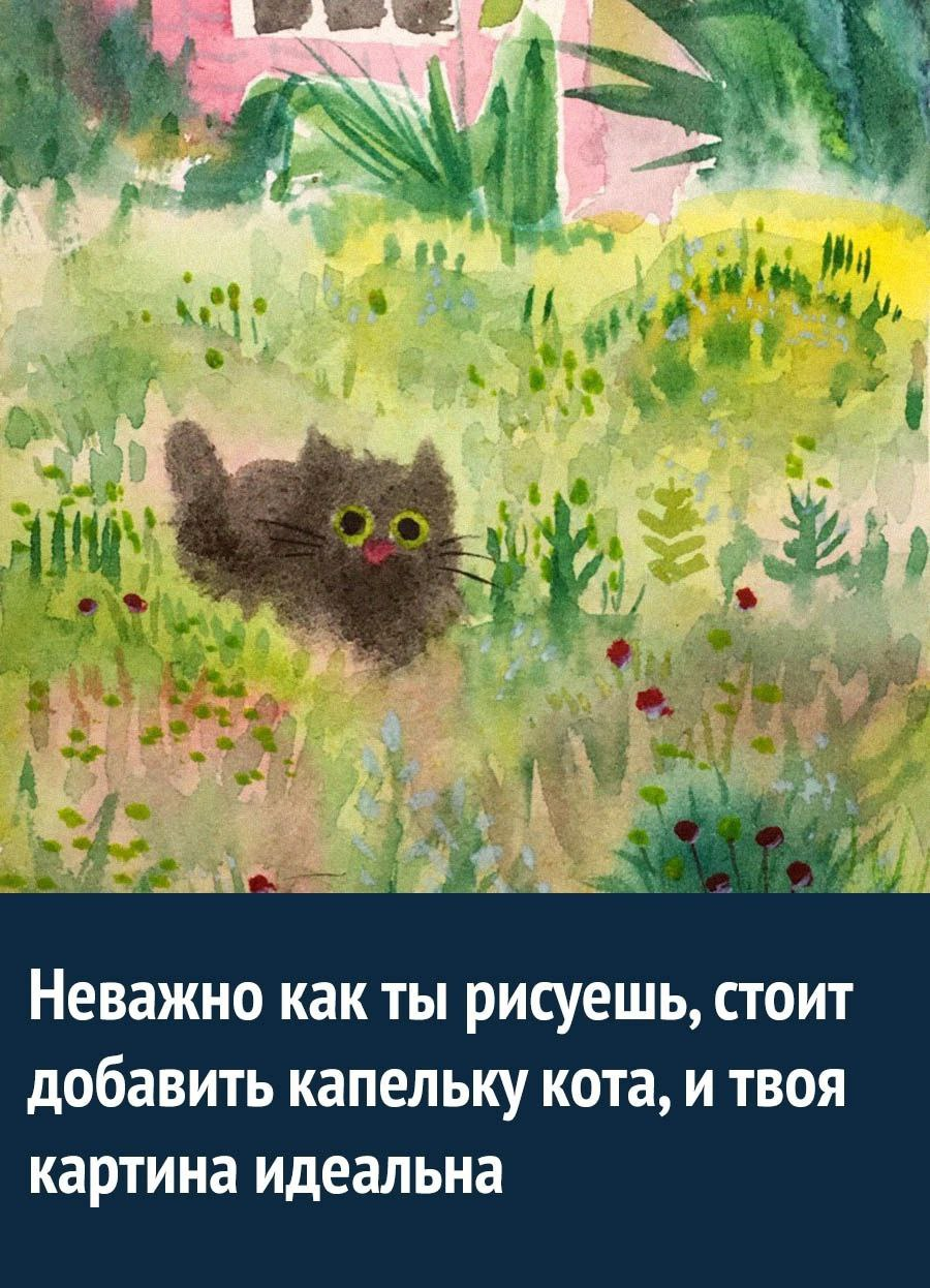 1661934942771.webp