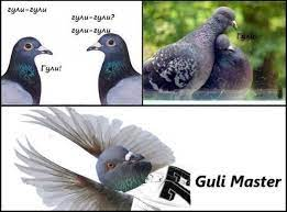 1661946327050.webp