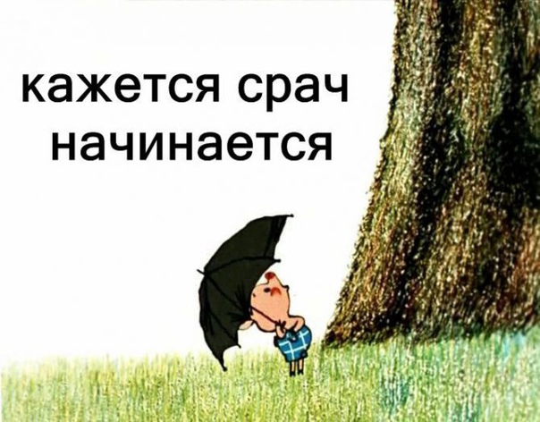 1661974177462.webp