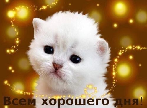 1662092106444.webp