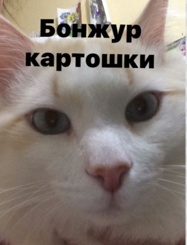 1662104402243.webp