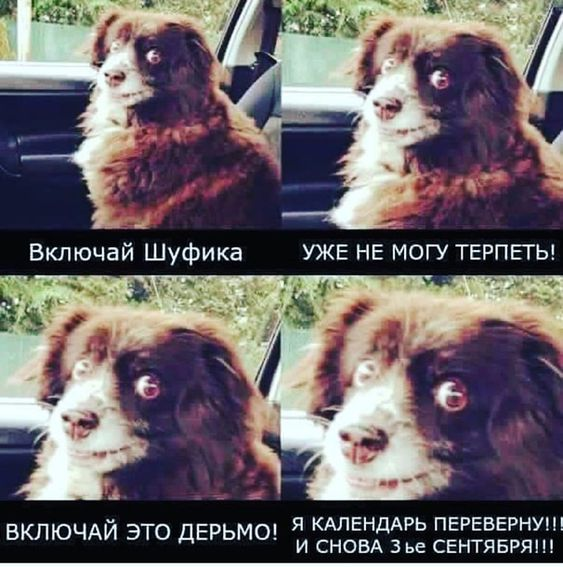 1662152391981.webp