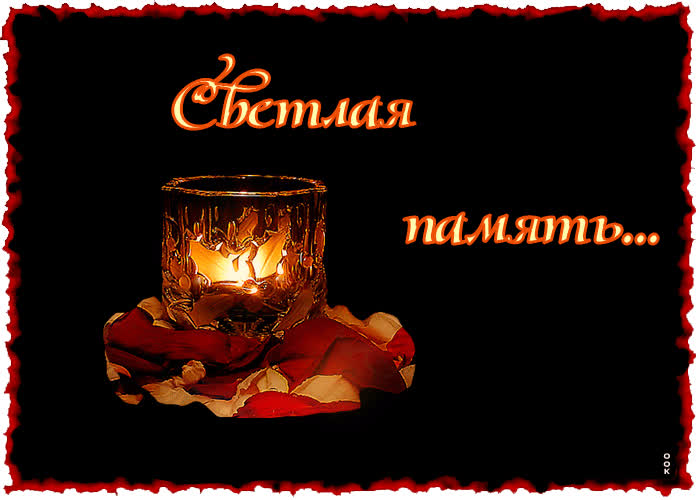 1662187905379.webp