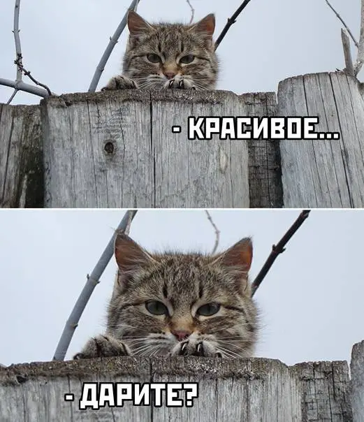 1662220728548.webp