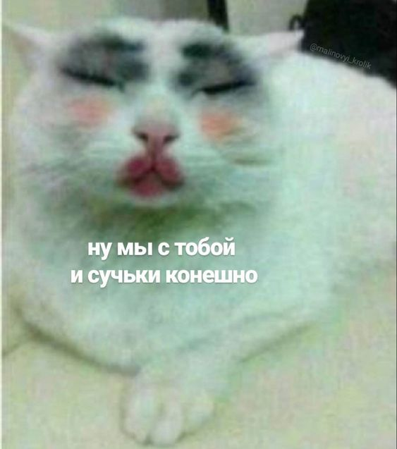 1662300778522.webp