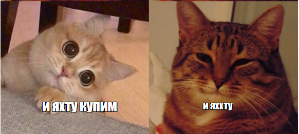 1662420945028.webp