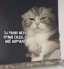 1662479424507.webp