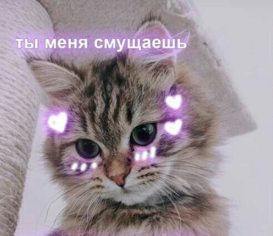 1662553215358.webp