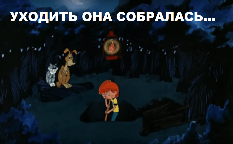 1662556437089.webp