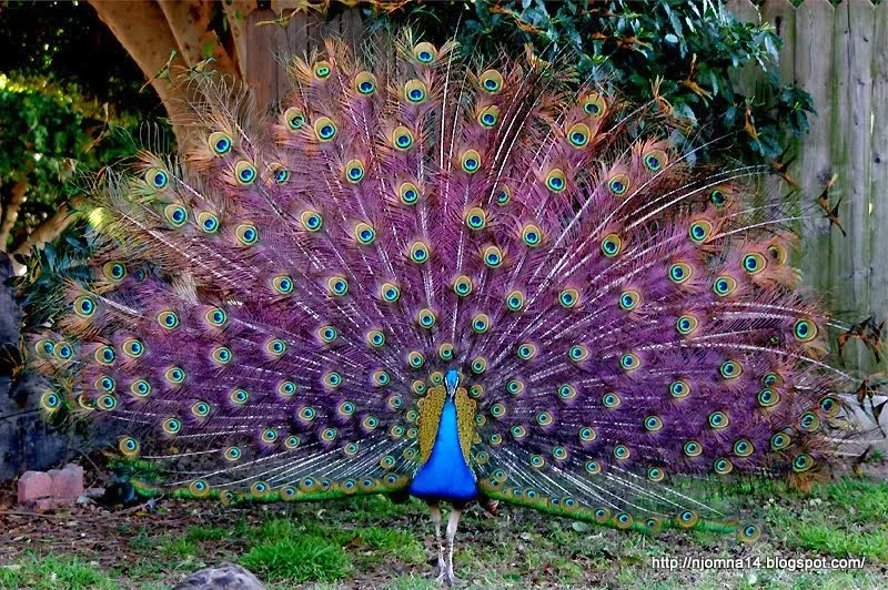 1662706583948.webp