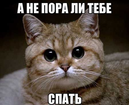 1662926379233.webp