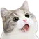 1662979356787.webp