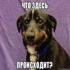 1663162815691.webp