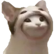 1663163316358.png