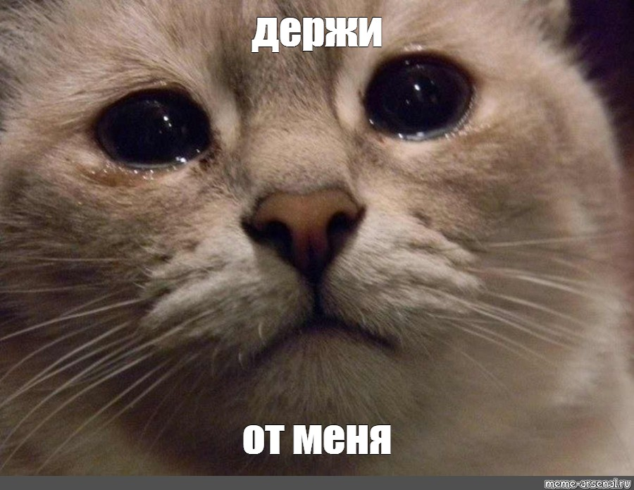 1663178549200.webp