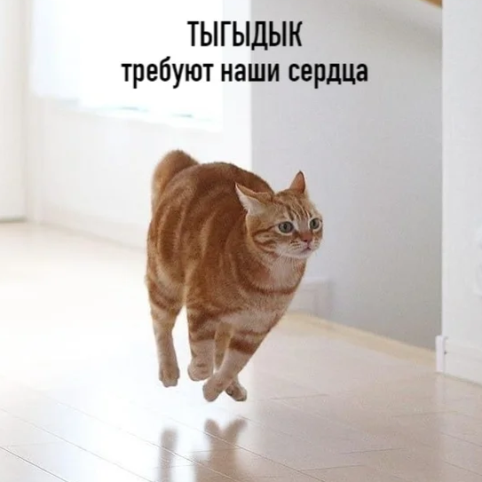 1663248791404.png