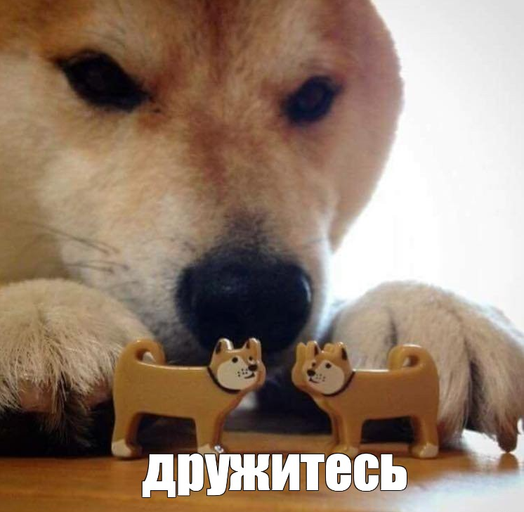 1663676218314.webp