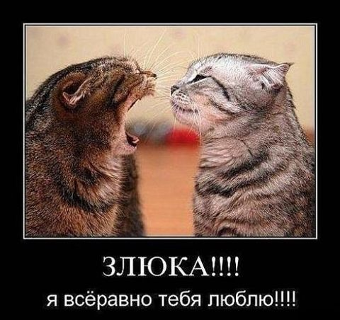 1663789664471.webp