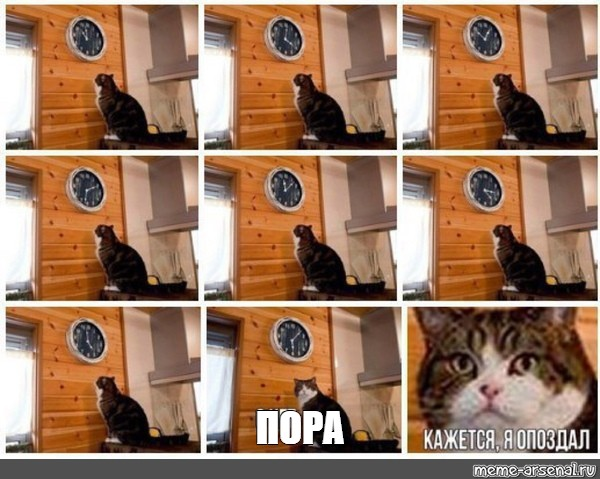 1663852082575.webp