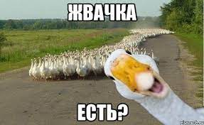 1664227763099.webp