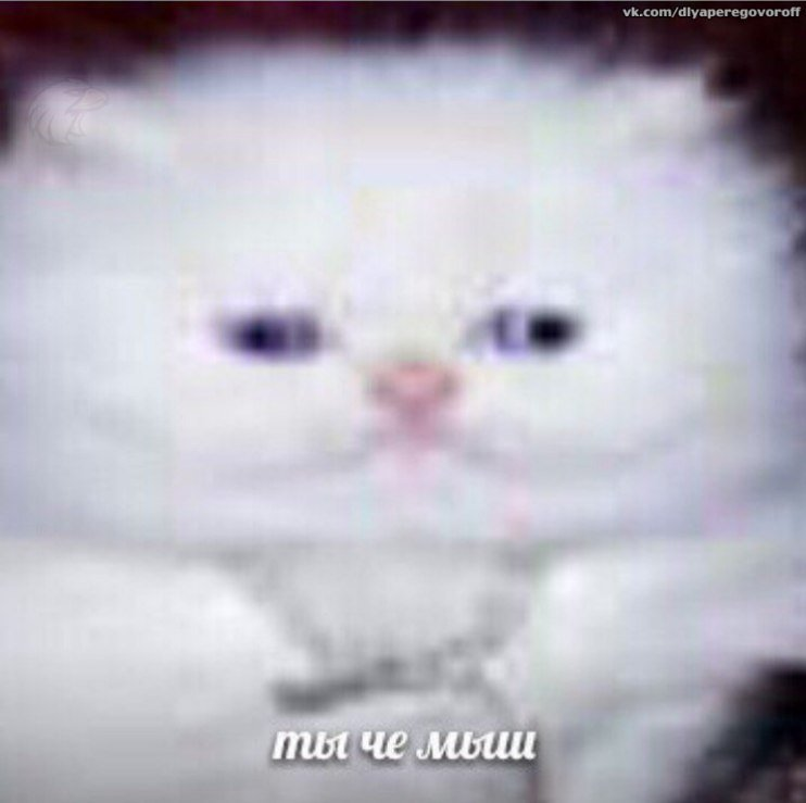 1664229090445.webp