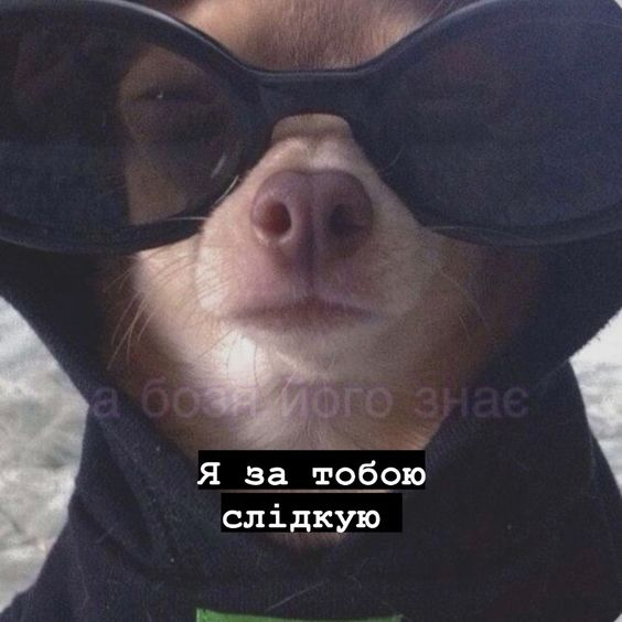 1664358040537.webp