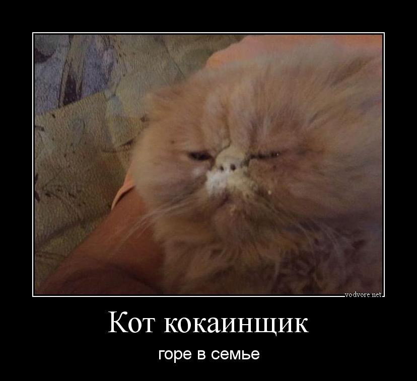 1664362748125.webp