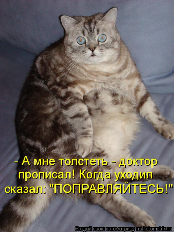 1664384300900.webp