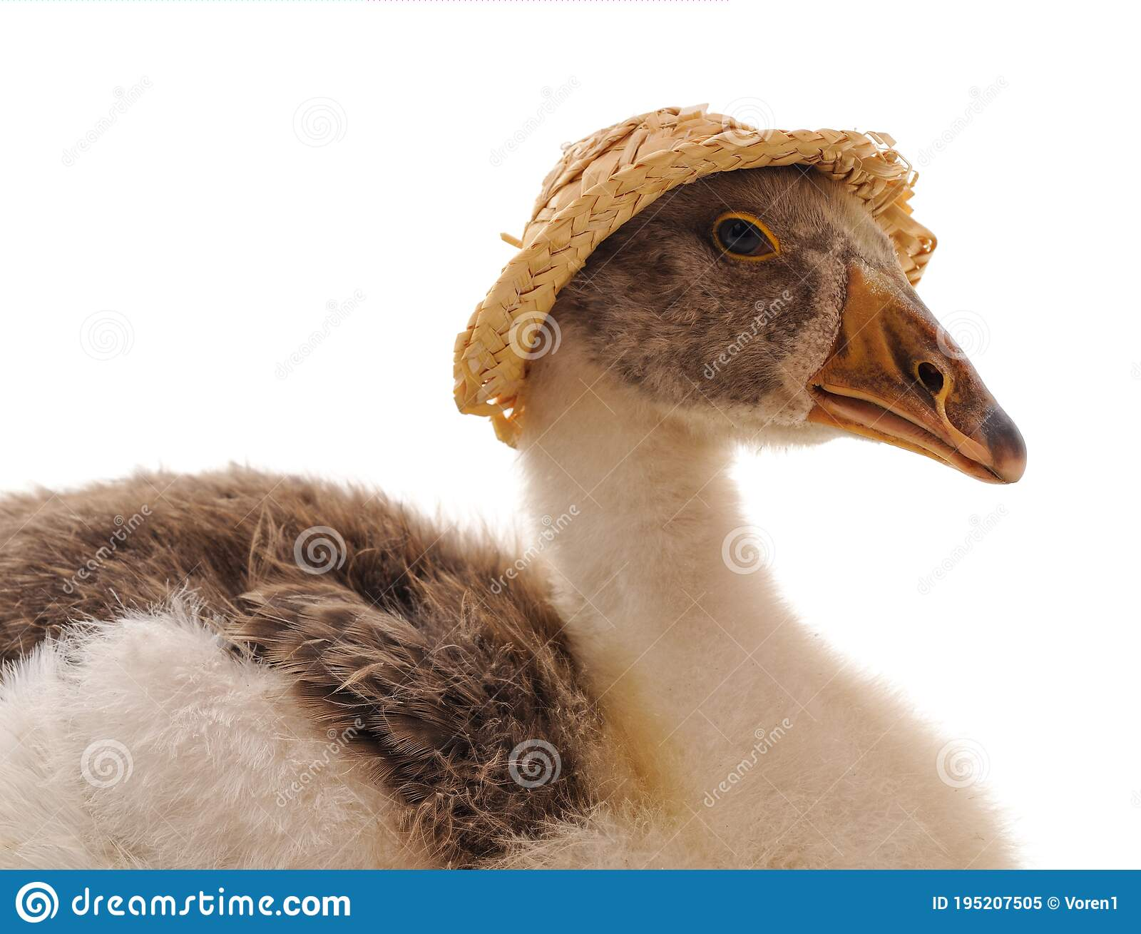 1664551508598.webp