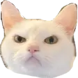 1664624220547.png