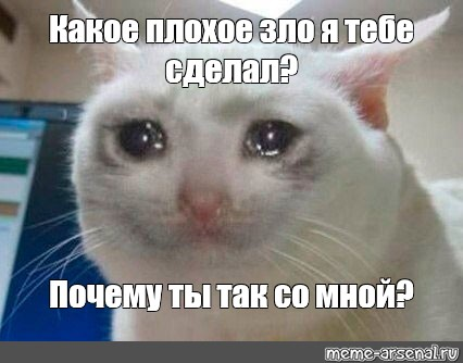 1664627682956.webp