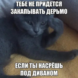 1664649630407.webp
