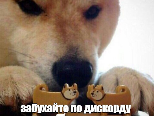 1664815047672.webp