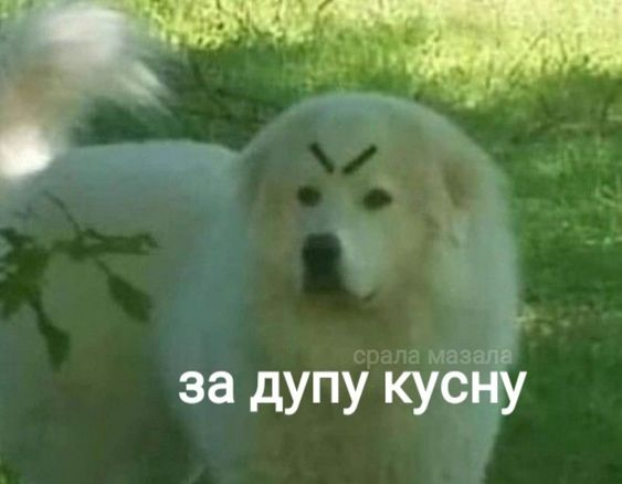 1664905939115.webp
