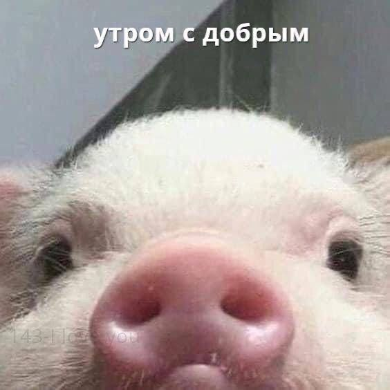 1664945958556.webp