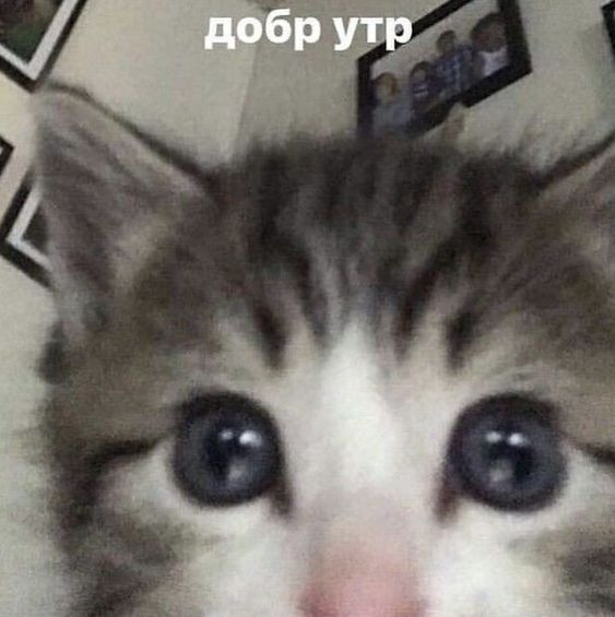 1664946058987.webp