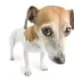 1664965971769.webp